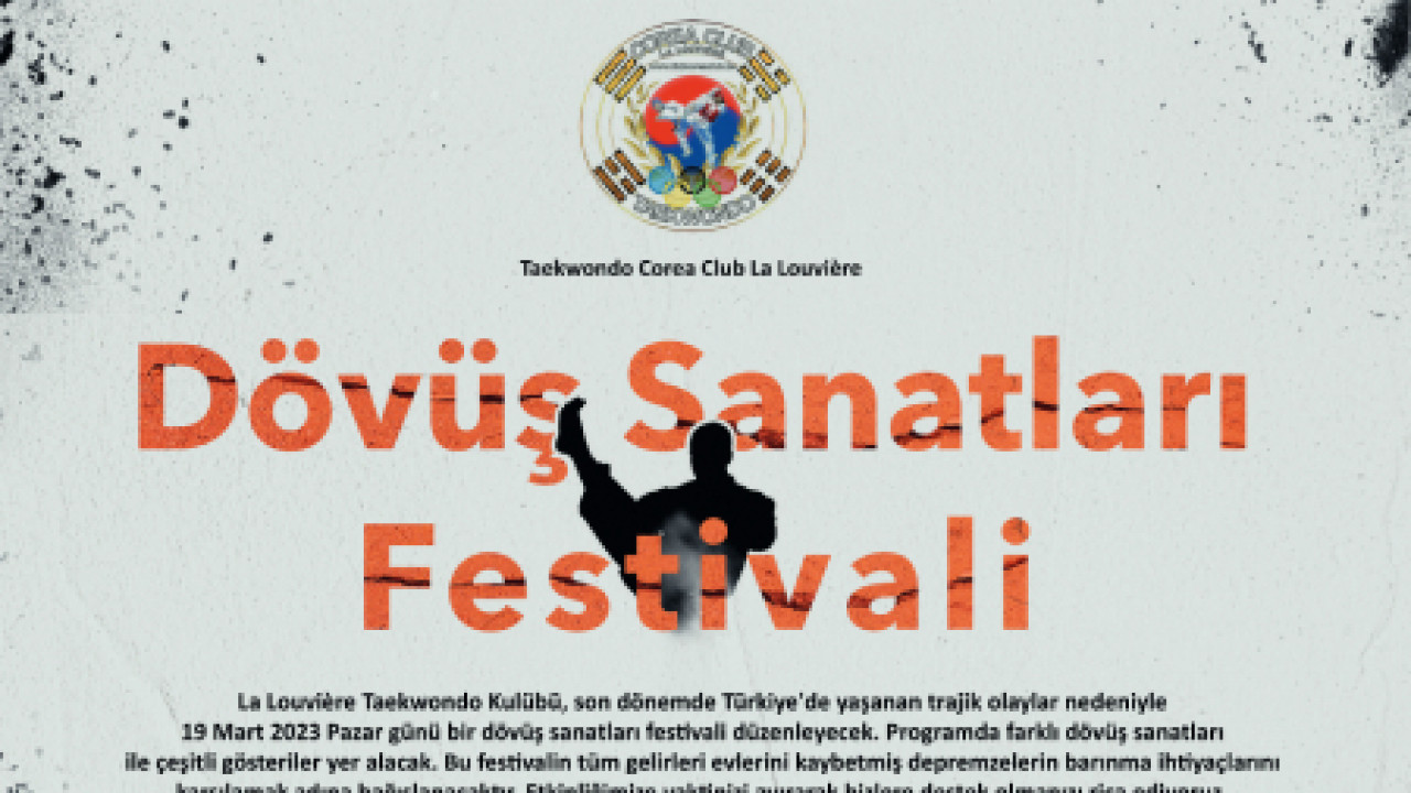 Dövüş Sanatları Festivali